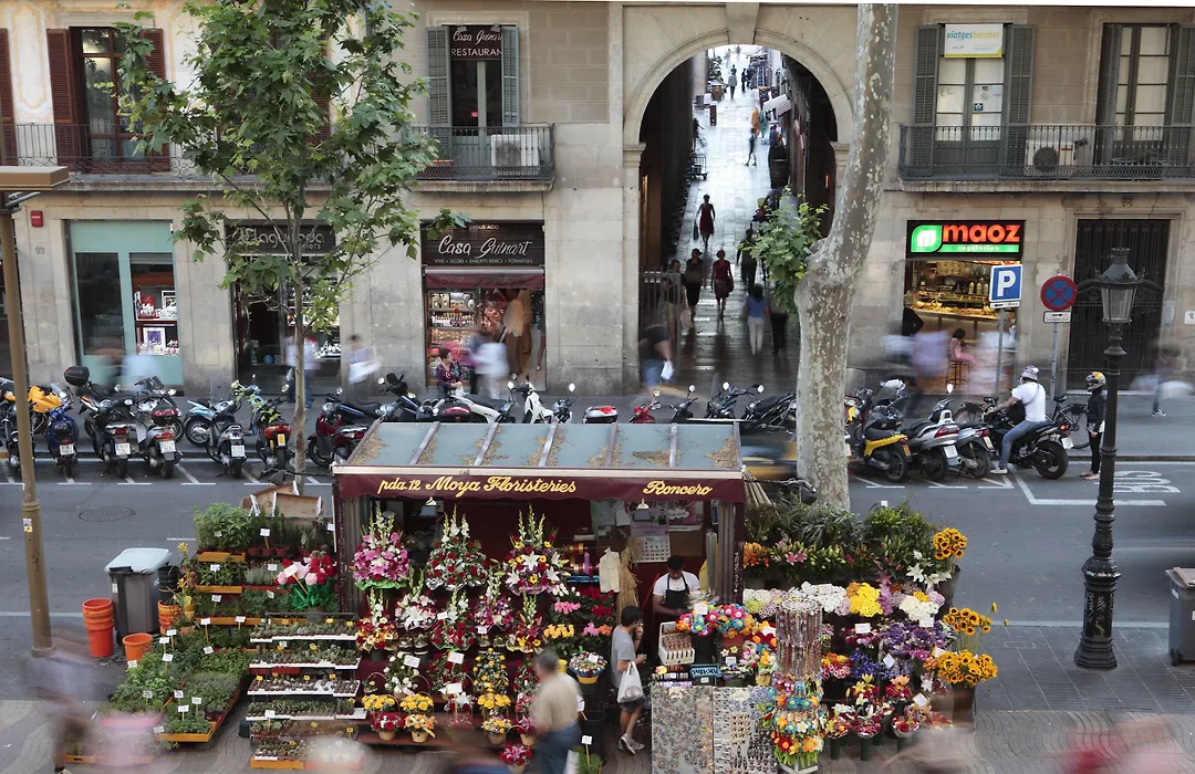 Rambla 102-1